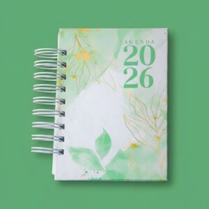 Agenda